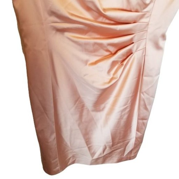 Lauren Ralph Lauren Womens 12 Pink Sleeveless Plea - Picture 3 of 8